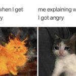 Meme of a fiery cat beside a sad cat depicting anger and explanation.