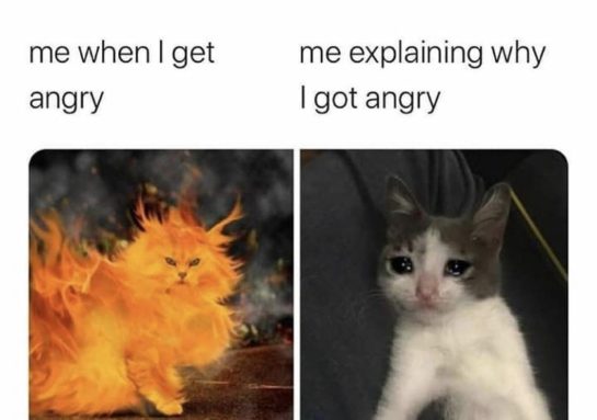 Meme of a fiery cat beside a sad cat depicting anger and explanation.