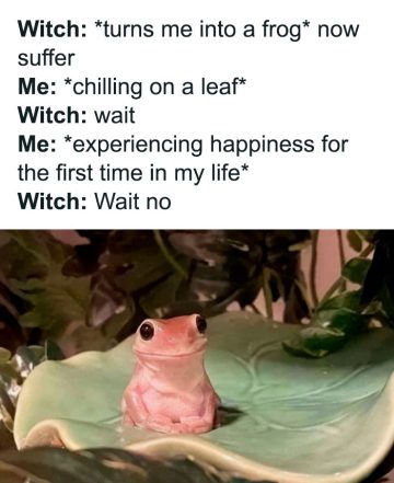 A pink frog looks joyful on a leaf, defying a witch's spell.