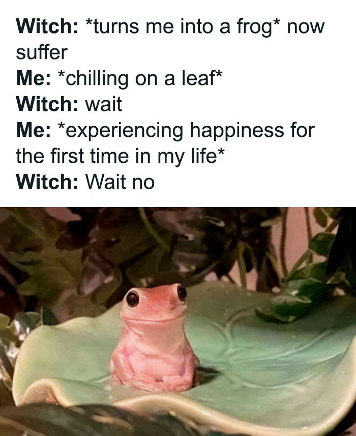 A pink frog looks joyful on a leaf, defying a witch's spell.