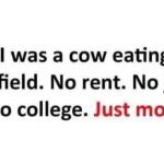 A text meme that says, "I wish I was a cow eating grass. No rent. No job. Just moo."