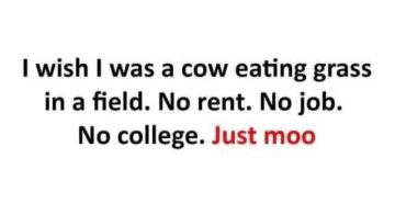 A text meme that says, "I wish I was a cow eating grass. No rent. No job. Just moo."