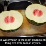 A watermelon cut open with a tiny red center, labeled as disappointing.