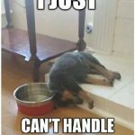 A small puppy resting its head in a water bowl, looking exhausted.