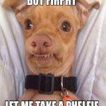 Dog humorously attempts a selfie, saying "Firpht let me take a phelfie."