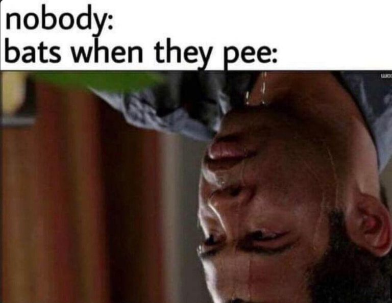 Meme showing funny perspective about bat peeing