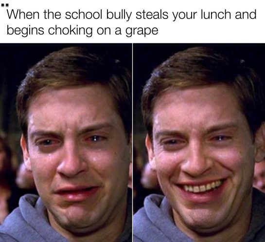 Meme of a school bully choking on a grape after stealing lunch