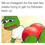 Humorous meme of a green frog trying to boost Instagram followers