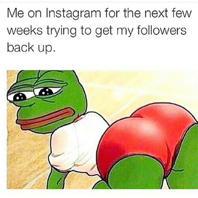 Humorous meme of a green frog trying to boost Instagram followers