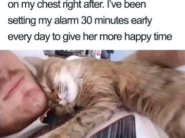 Cat snuggling on owner's chest after alarm goes off
