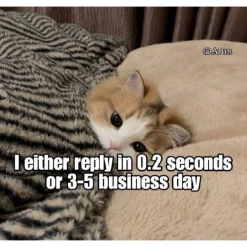 Adorable cat under blanket with a funny response time meme text