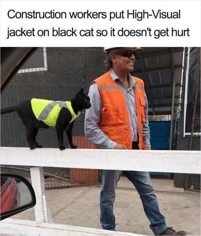 Black cat wearing a bright safety vest standing on a fence at construction site.