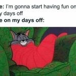 Cat wrapped up snugly with a smile; perfect days off vibe.