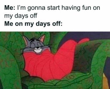 Cat wrapped up snugly with a smile; perfect days off vibe.