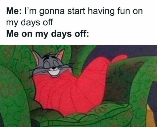 Cat wrapped up snugly with a smile; perfect days off vibe.