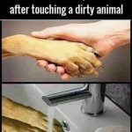 A funny meme of washing hands after touching a dirty animal