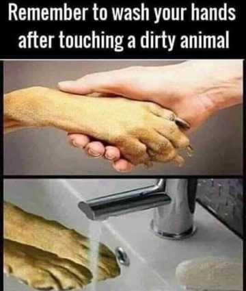A funny meme of washing hands after touching a dirty animal