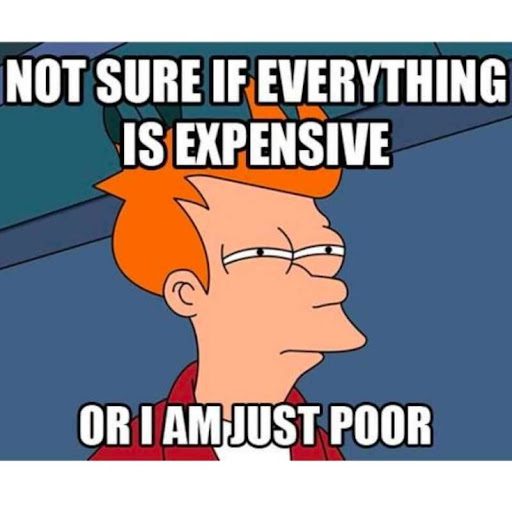 Cartoon character questioning if everything is expensive or they're just poor.