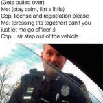 Police officer at car window during a traffic stop scene from a meme