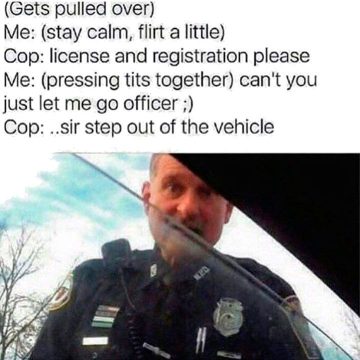 Police officer at car window during a traffic stop scene from a meme