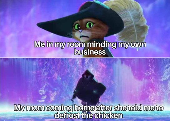 Animated cat surprised when forgetting to defrost the chicken.