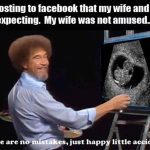 Bob Ross painting an ultrasound image with a humorous caption