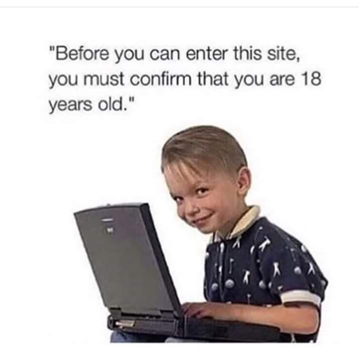 Smirking child using a laptop with humorous age prompt