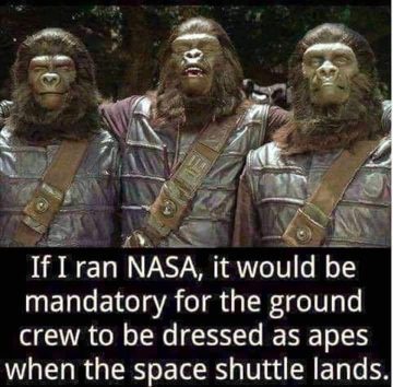 Three people dressed as apes for a space shuttle joke.