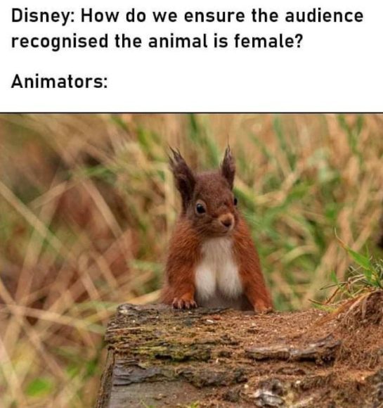 Squirrel standing humorously on a log in a funny Disney meme scene.