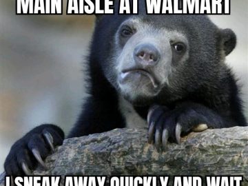 Confession bear enjoying humor in a Walmart meme