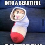Kitten in a sock dreaming of becoming a catterfly.