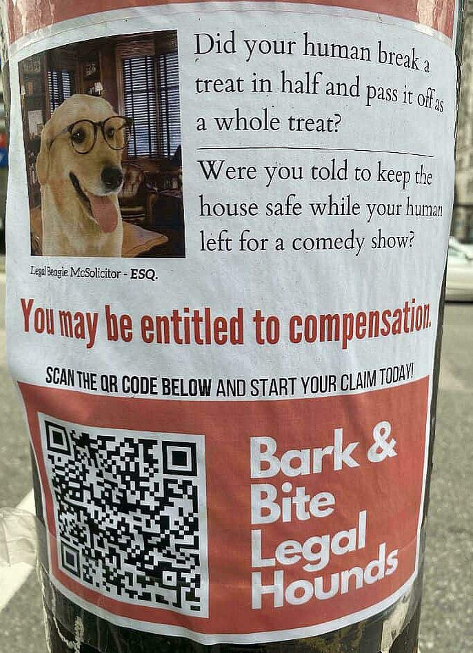 Dog in glasses offering legal advice for treat injustice.