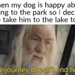A happy moment with a dog going from park to lake, full of joy.