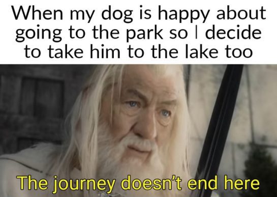 A happy moment with a dog going from park to lake, full of joy.