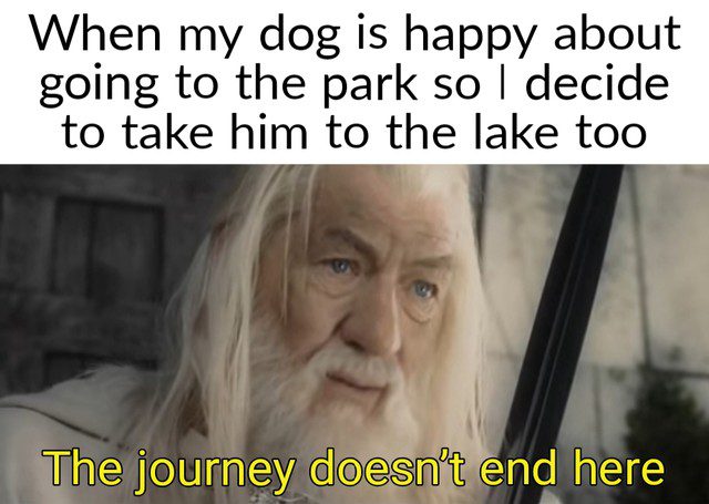 A happy moment with a dog going from park to lake, full of joy.