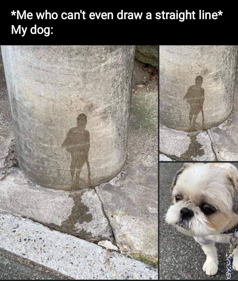 Dog's unexpected artistic pee pattern on sidewalk.