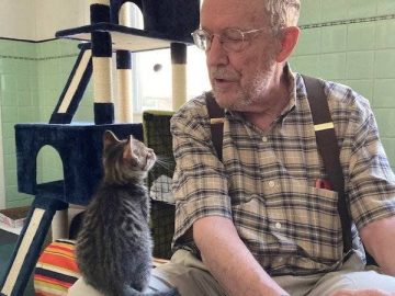 Kitten sits with grandpa, listening intently to his stories.