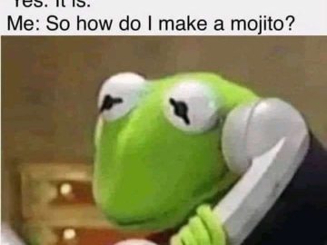 Kermit on the phone asking helpline for a mojito recipe