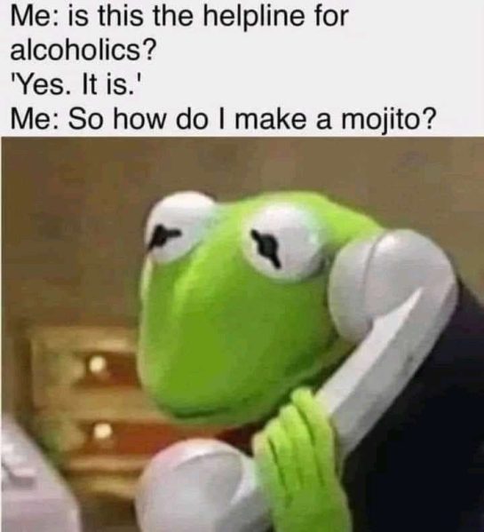 Kermit on the phone asking helpline for a mojito recipe