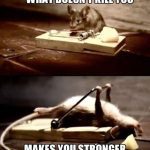 Mouse on a trap with cheese, captioned "What Doesn't Kill You Makes You Stronger"