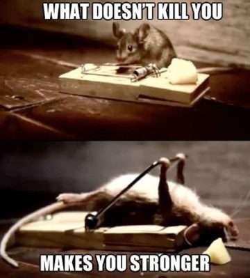 Mouse on a trap with cheese, captioned "What Doesn't Kill You Makes You Stronger"