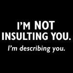 Sassy meme with text saying I'm not insulting you, I'm describing you.