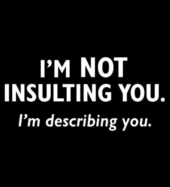 Sassy meme with text saying I'm not insulting you, I'm describing you.