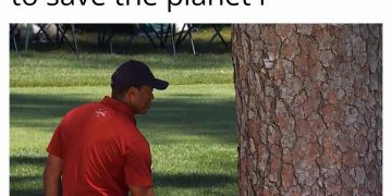 Meme of person shaking hands with a tree, feeling eco-friendly