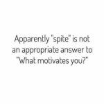 Humorous text meme questioning if spite is a valid motivator.