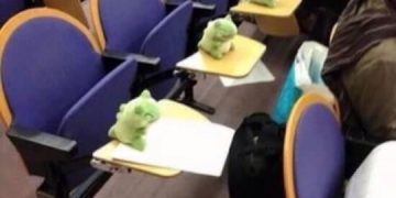 Stuffed toys filling seats in a lecture hall as student substitutes.