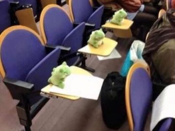Stuffed toys filling seats in a lecture hall as student substitutes.