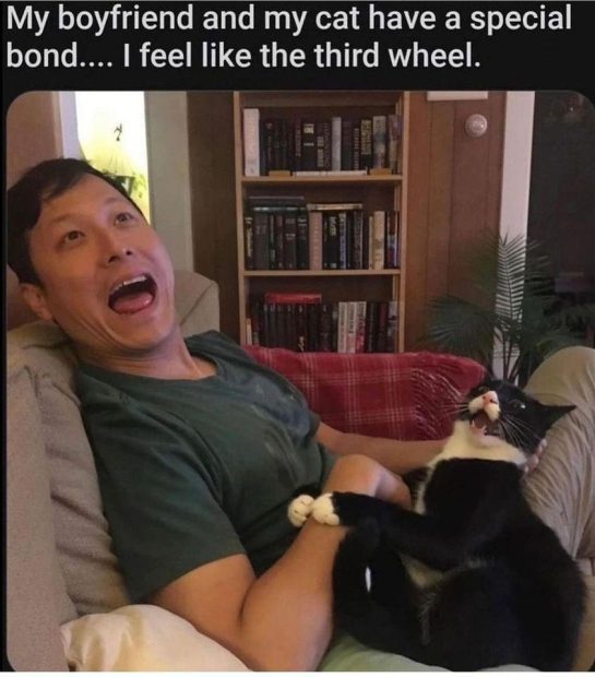 Man and cat bonding on couch, woman feels like third wheel.