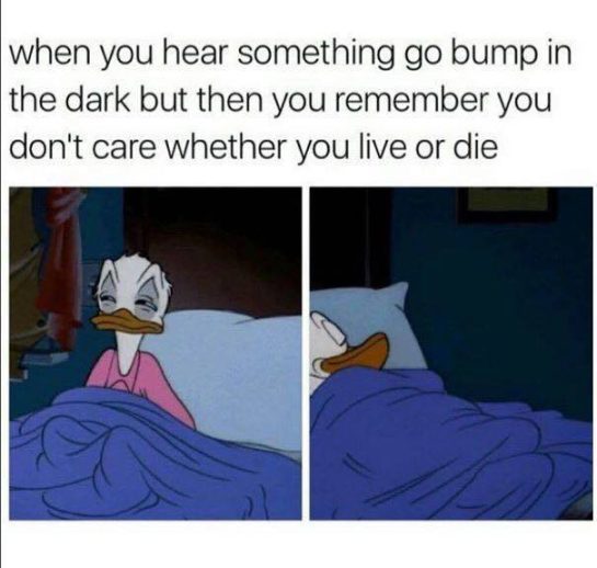 Cartoon character unfazed by nighttime noise; dark humor meme.