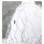 Lone person with scattered footprints symbolizing a wandering mind on a call